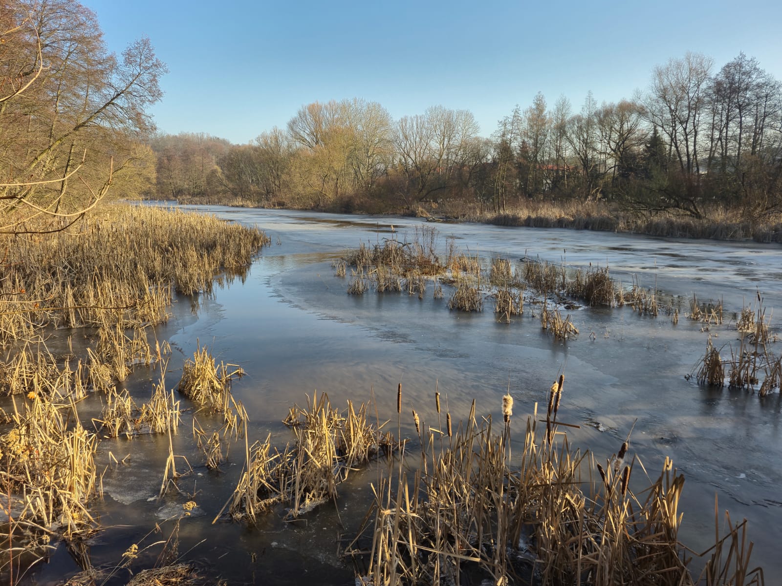 Mazowiecka Szwajcaria